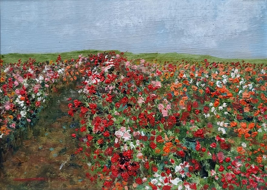 Avi Sooful - Field of roses